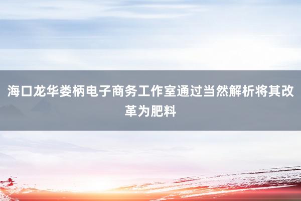海口龙华娄柄电子商务工作室通过当然解析将其改革为肥料